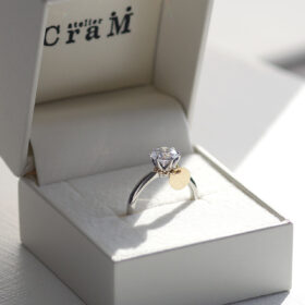 なとり プロポーズ 指輪 サプライズプロポーズ専用アイテム『プロポーズリング』 – 新潟の結婚